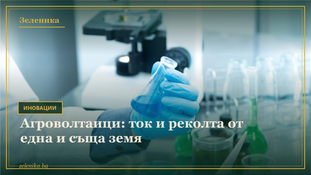 Агроволтаици: ток и реколта от една и съща земя