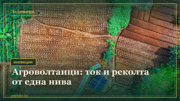 Агроволтаици: ток и реколта от една нива