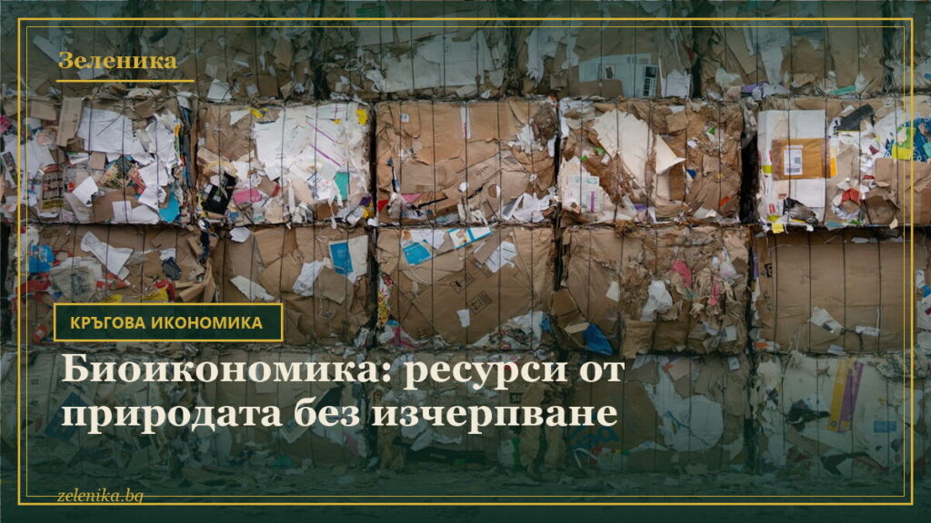 Биоикономика: ресурси от природата без изчерпване