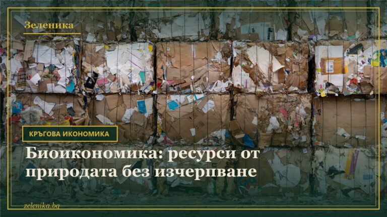 Биоикономика: ресурси от природата без изчерпване
