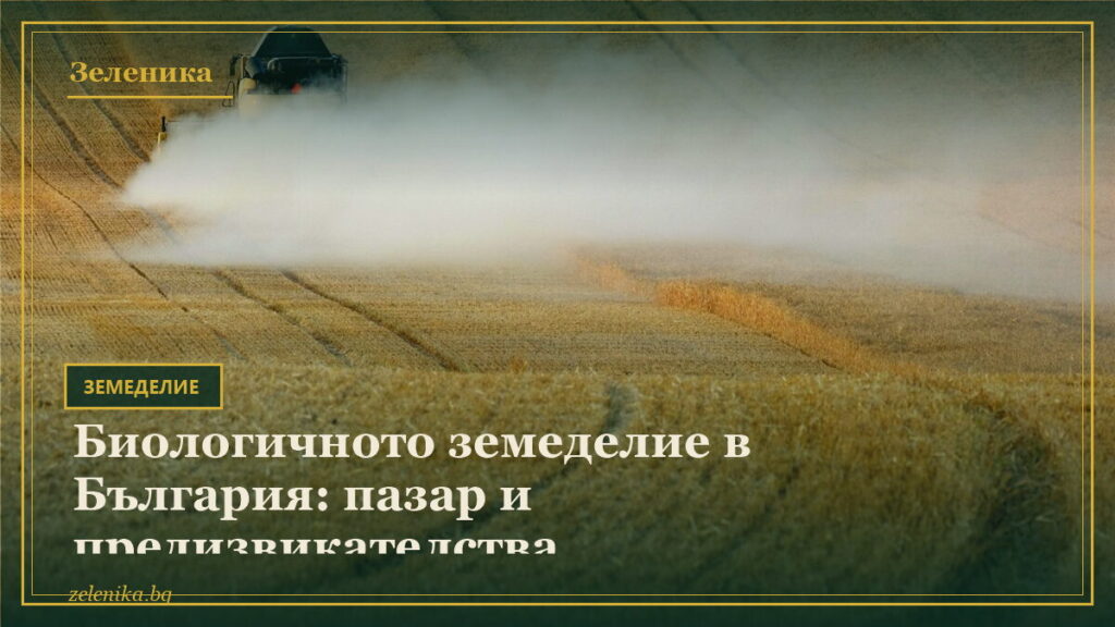 Биологичното земеделие в България: пазар и предизвикателства