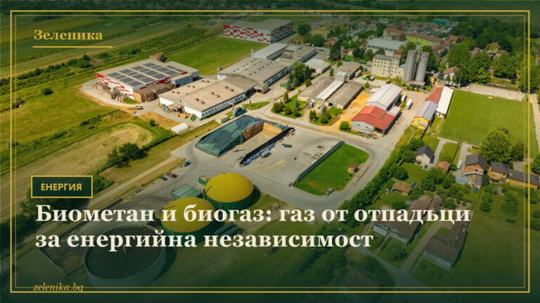 Биометан и биогаз: газ от отпадъци за енергийна независимост