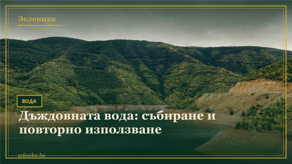 Дъждовната вода: събиране и повторно използване