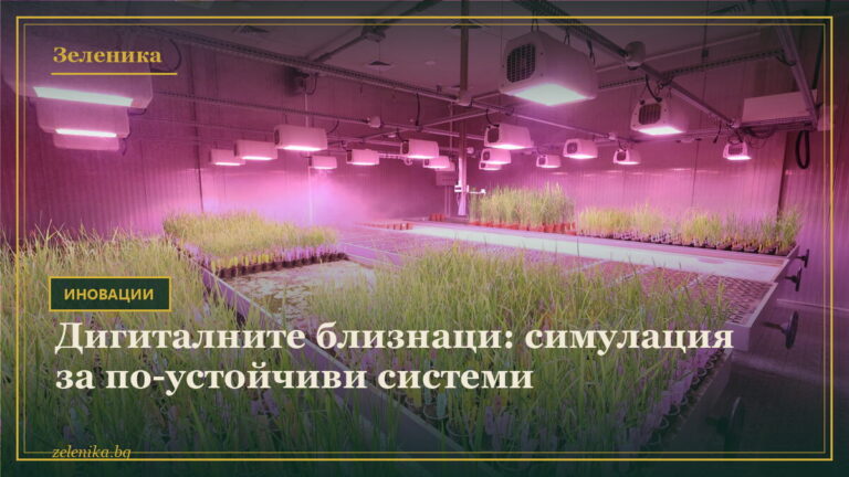 Дигиталните близнаци: симулация за по-устойчиви системи