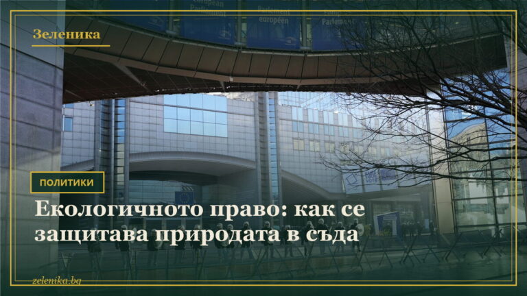 Екологичното право: как се защитава природата в съда