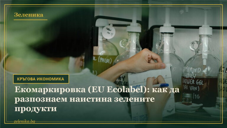 Екомаркировка (EU Ecolabel): как да разпознаем наистина зелените продукти