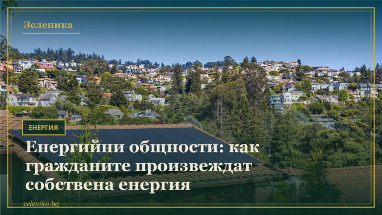 Енергийни общности: как гражданите произвеждат собствена енергия