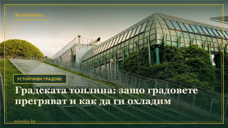 Градската топлина: защо градовете прегряват и как да ги охладим