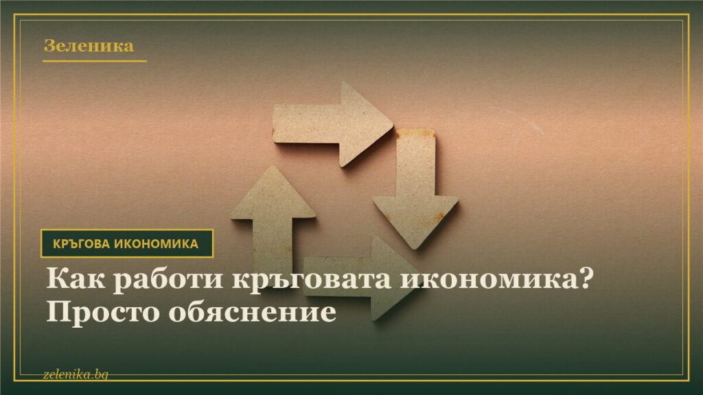 Как работи кръговата икономика? Просто обяснение