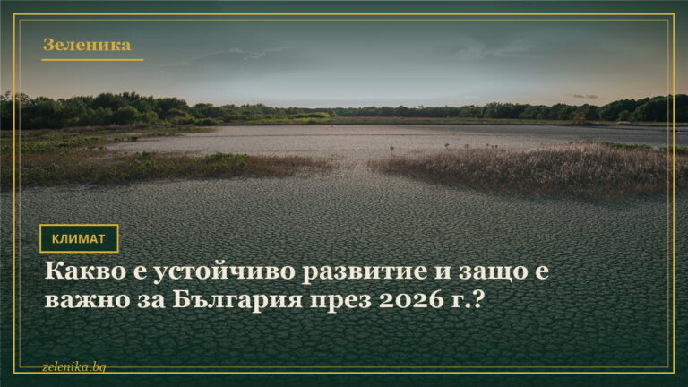 Какво е устойчиво развитие и защо е важно за България през 2026 г.?
