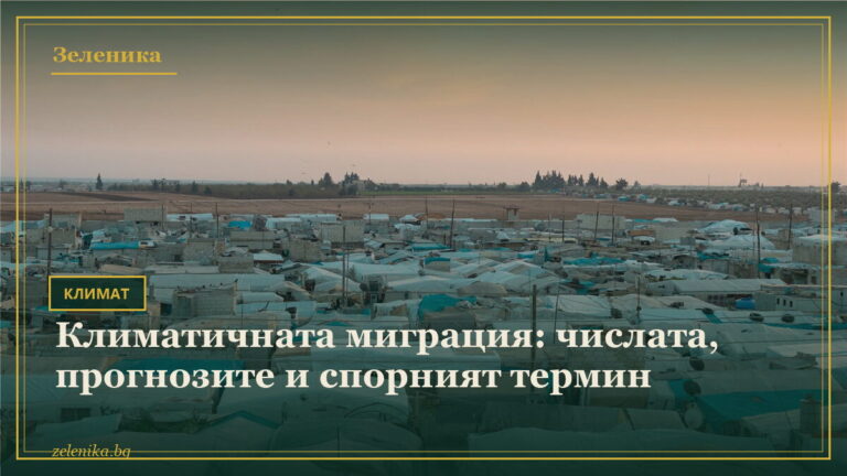 Климатичната миграция: числата, прогнозите и спорният термин