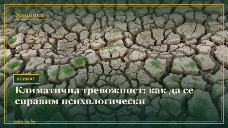 Климатична тревожност: как да се справим психологически