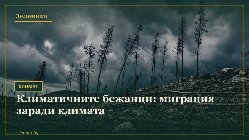 Климатичните бежанци: миграция заради климата