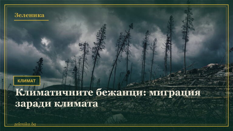 Климатичните бежанци: миграция заради климата