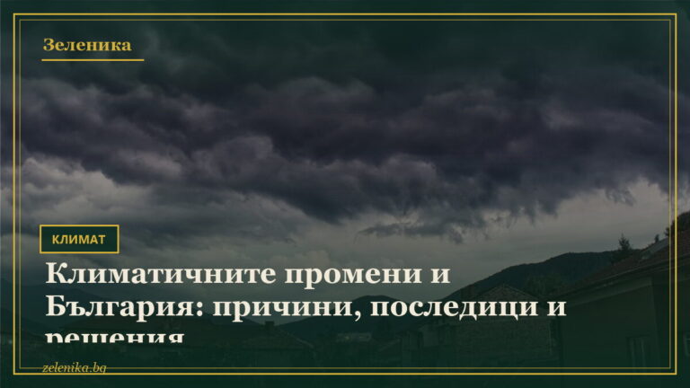 Климатичните промени и България: причини, последици и решения