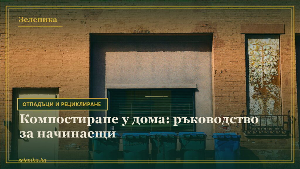 Компостиране у дома: ръководство за начинаещи