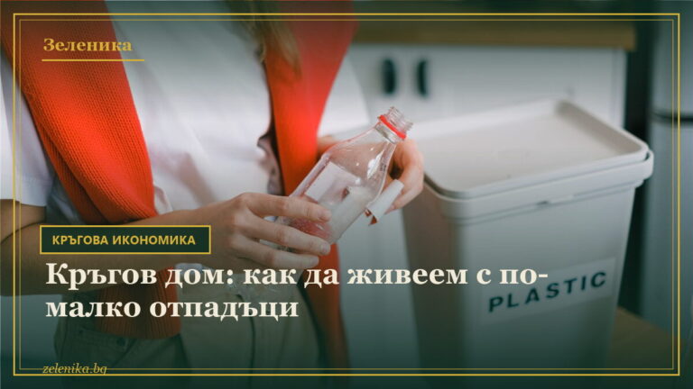 Кръгов дом: как да живеем с по-малко отпадъци