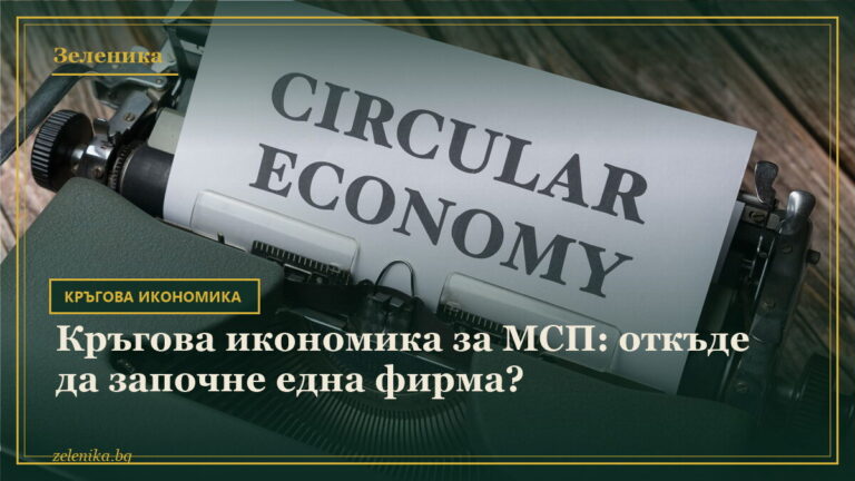 Кръгова икономика за МСП: откъде да започне една фирма?