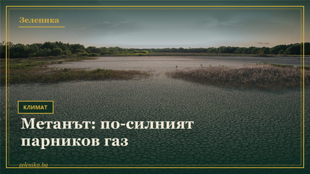Метанът: по-силният парников газ