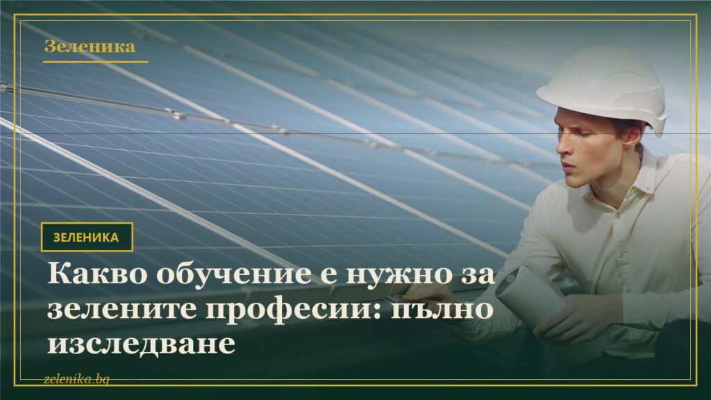 Какво обучение е нужно за зелените професии: пълно изследване