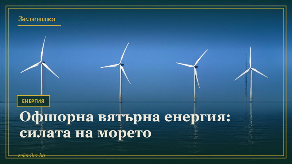 Офшорна вятърна енергия: силата на морето