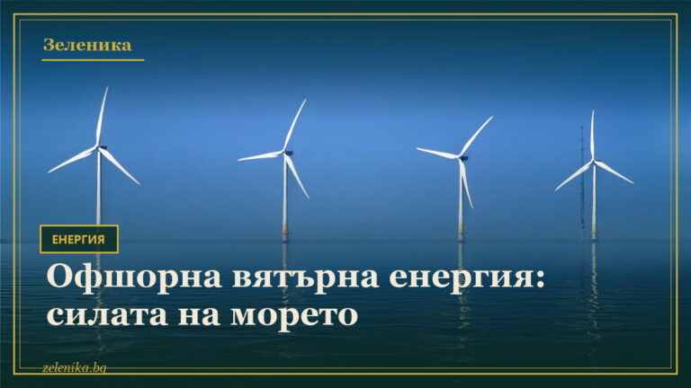 Офшорна вятърна енергия: силата на морето