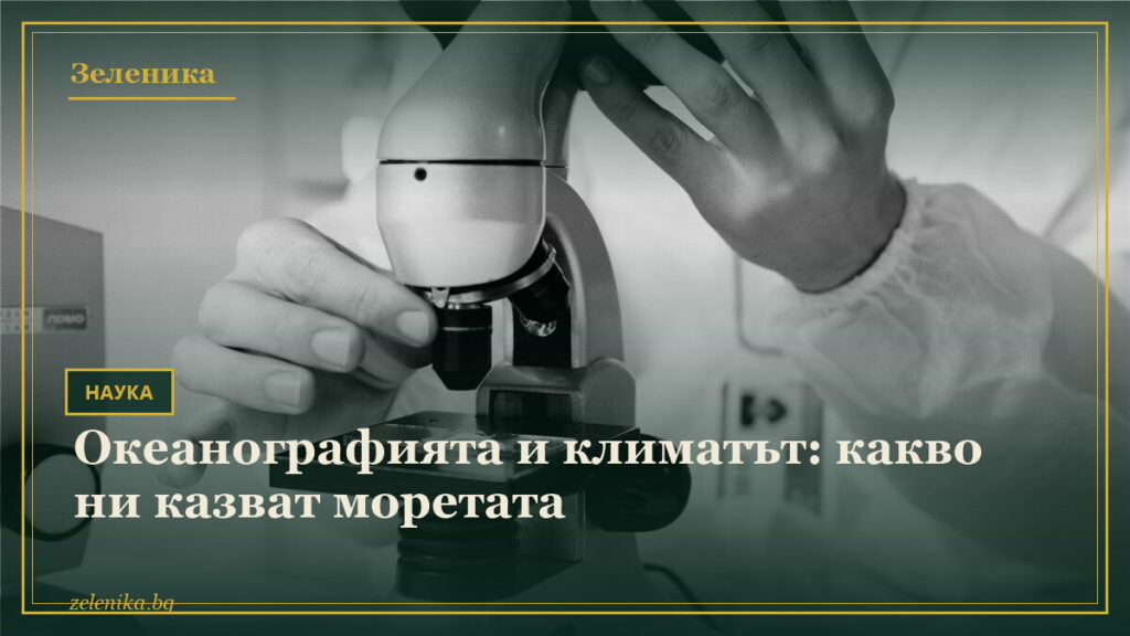 Океанографията и климатът: какво ни казват моретата