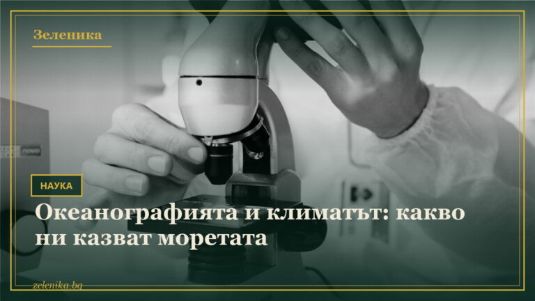 Океанографията и климатът: какво ни казват моретата