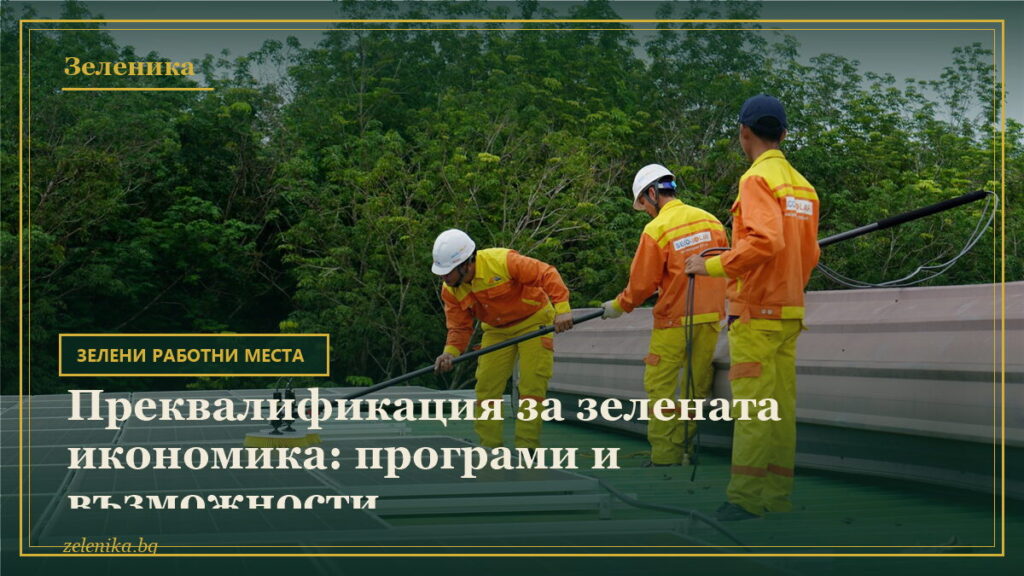 Преквалификация за зелената икономика: програми и възможности
