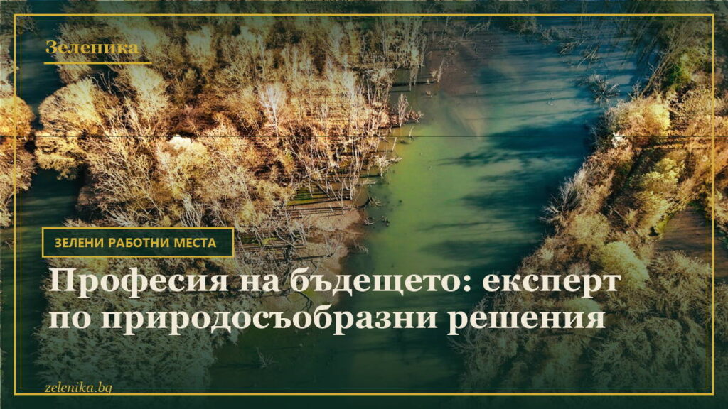Професия на бъдещето: експерт по природосъобразни решения