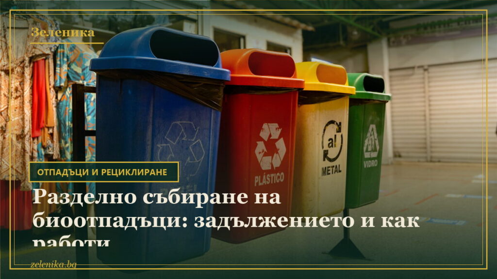 Разделно събиране на биоотпадъци: задължението и как работи