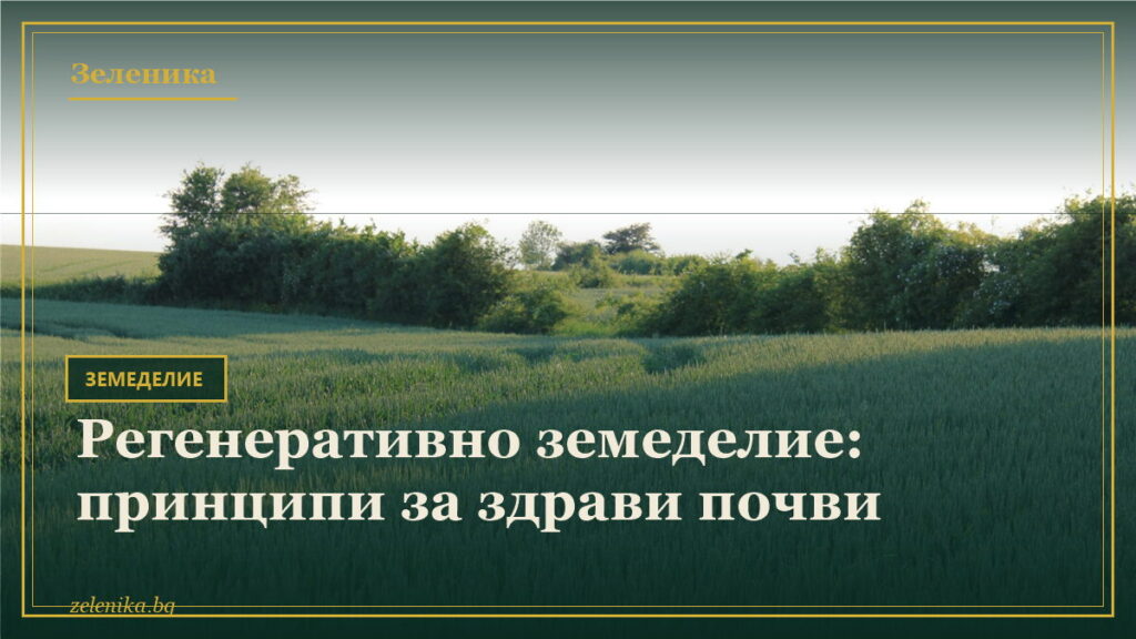 Регенеративно земеделие: принципи за здрави почви