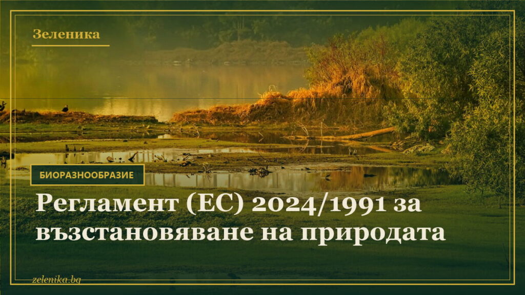 Регламент (ЕС) 2024/1991 за възстановяване на природата
