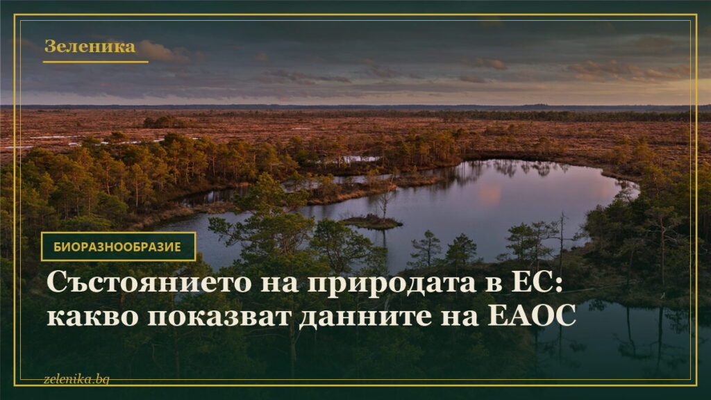 Състоянието на природата в ЕС: какво показват данните на ЕАОС