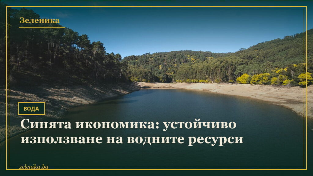 Синята икономика: устойчиво използване на водните ресурси