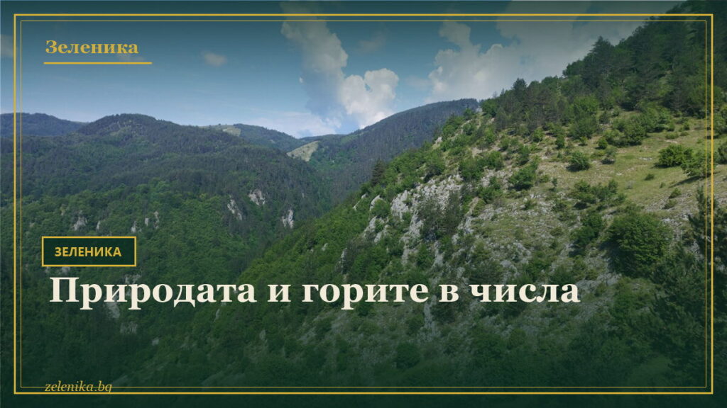 Природата и горите в числа