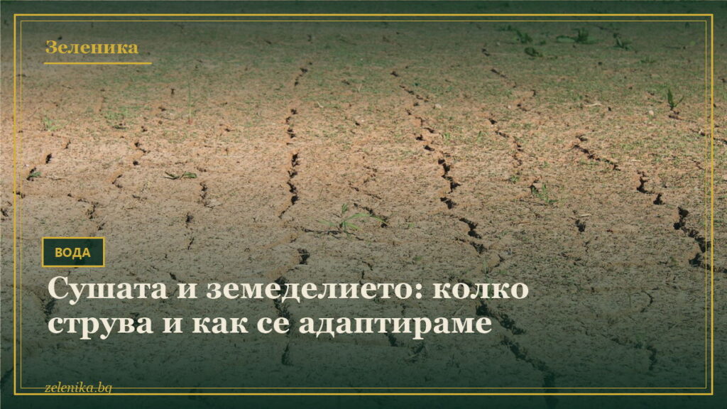 Сушата и земеделието: колко струва и как се адаптираме