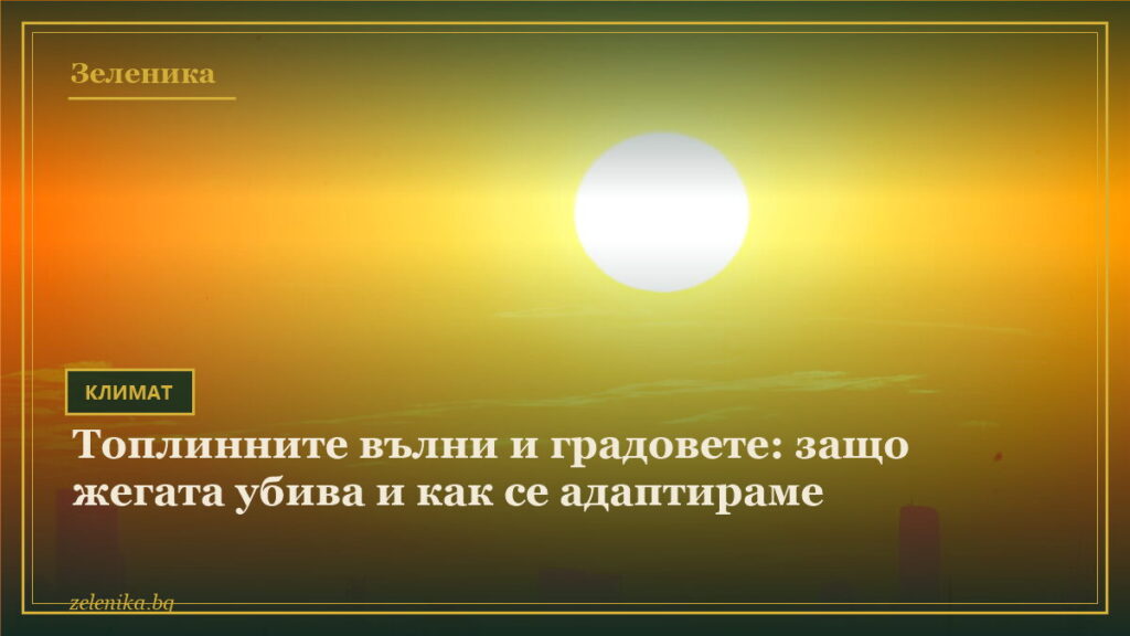 Топлинните вълни и градовете: защо жегата убива и как се адаптираме