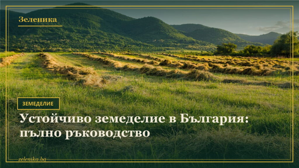 Устойчиво земеделие в България: пълно ръководство