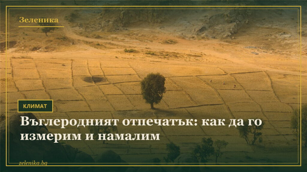 Въглеродният отпечатък: как да го измерим и намалим
