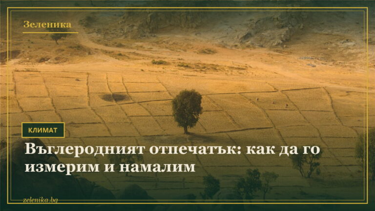 Въглеродният отпечатък: как да го измерим и намалим