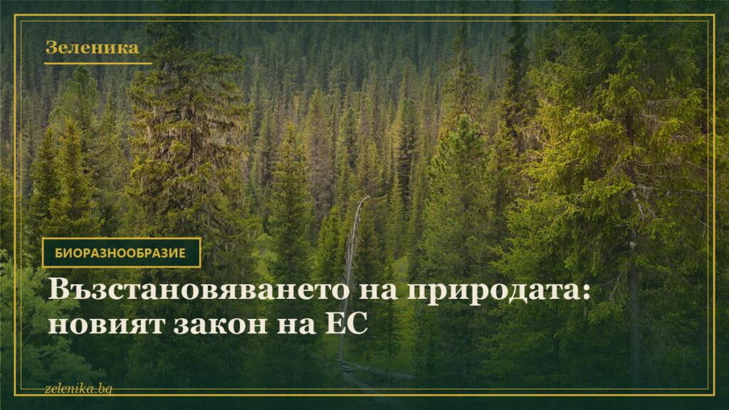 Възстановяването на природата: новият закон на ЕС