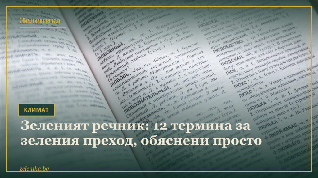 Зеленият речник: 12 термина за зеления преход, обяснени просто