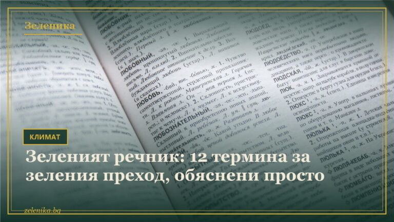 Зеленият речник: 12 термина за зеления преход, обяснени просто