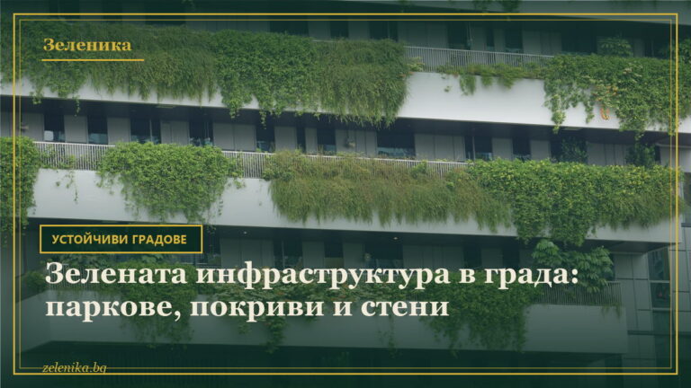 Зелената инфраструктура в града: паркове, покриви и стени