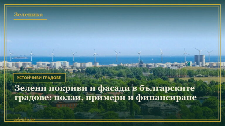 Зелени покриви и фасади в българските градове: ползи, примери и финансиране