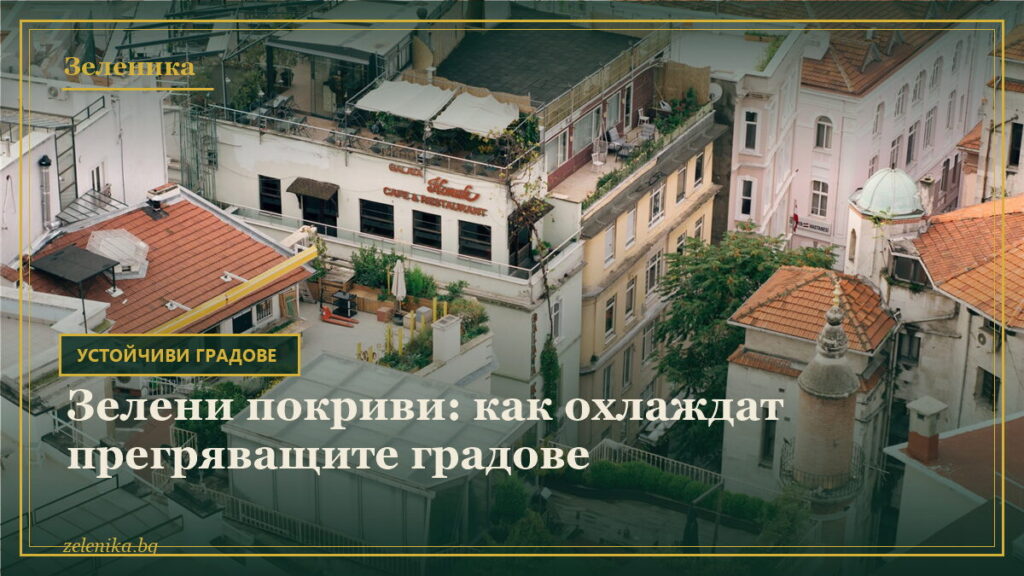 Зелени покриви: как охлаждат прегряващите градове