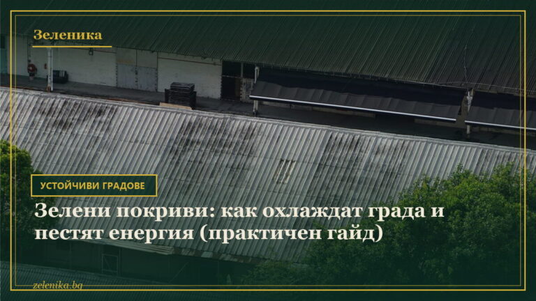 Зелени покриви: как охлаждат града и пестят енергия (практичен гайд)