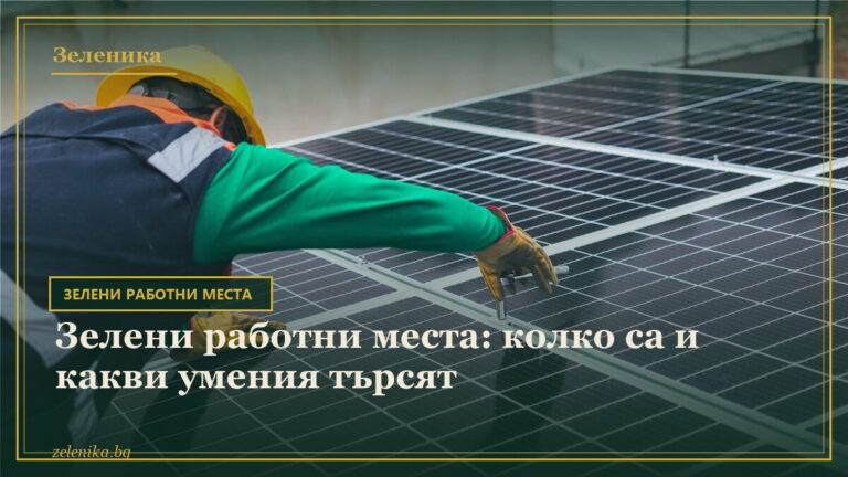 Зелени работни места: колко са и какви умения търсят