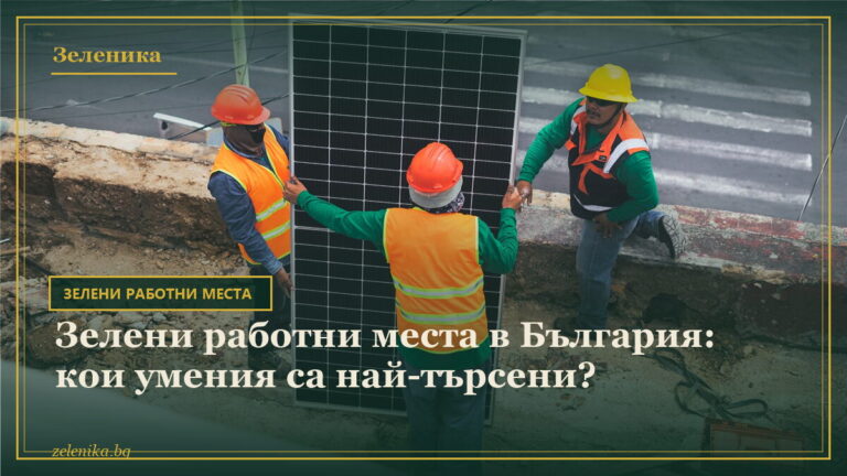 Зелени работни места в България: кои умения са най-търсени?